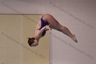 Women's Diving  Wheaton College Women’s Diving vs Mount Holyoke College. - Photo by Keith Nordstrom : Wheaton, Swimming & Diving